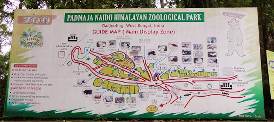 Padmaja Naidu Zoological Park in Darjeeling